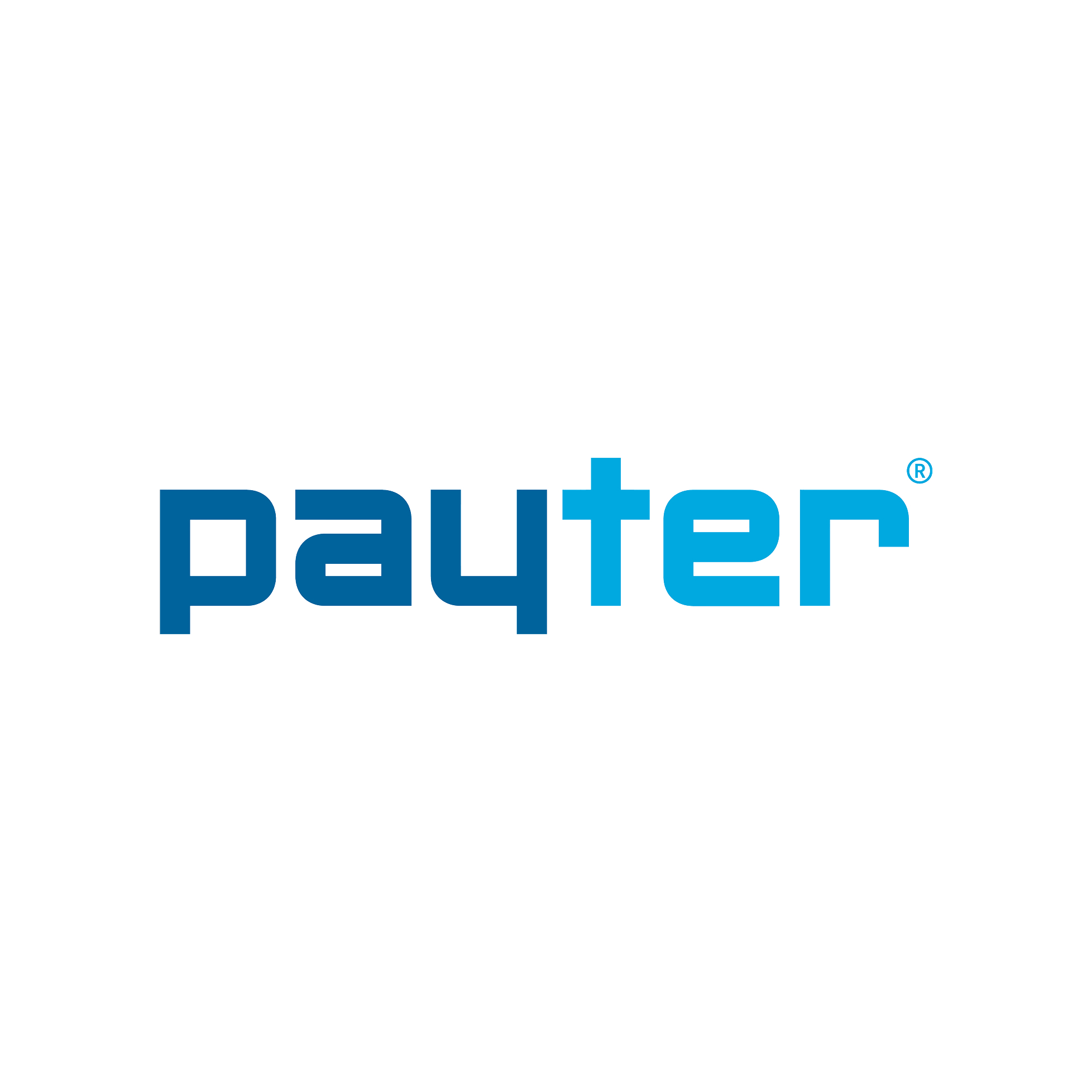 Raedian Payter P66 Payment Modul (für Raedian Gemini)